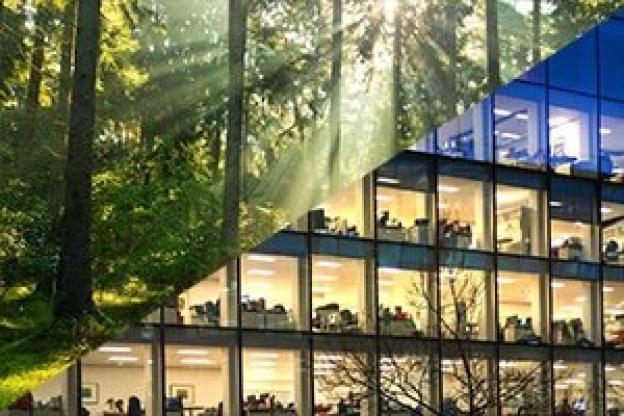 Natuurlijk licht vs Kunstlicht